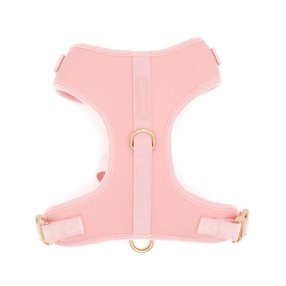The Essentials Walk Set - Rose