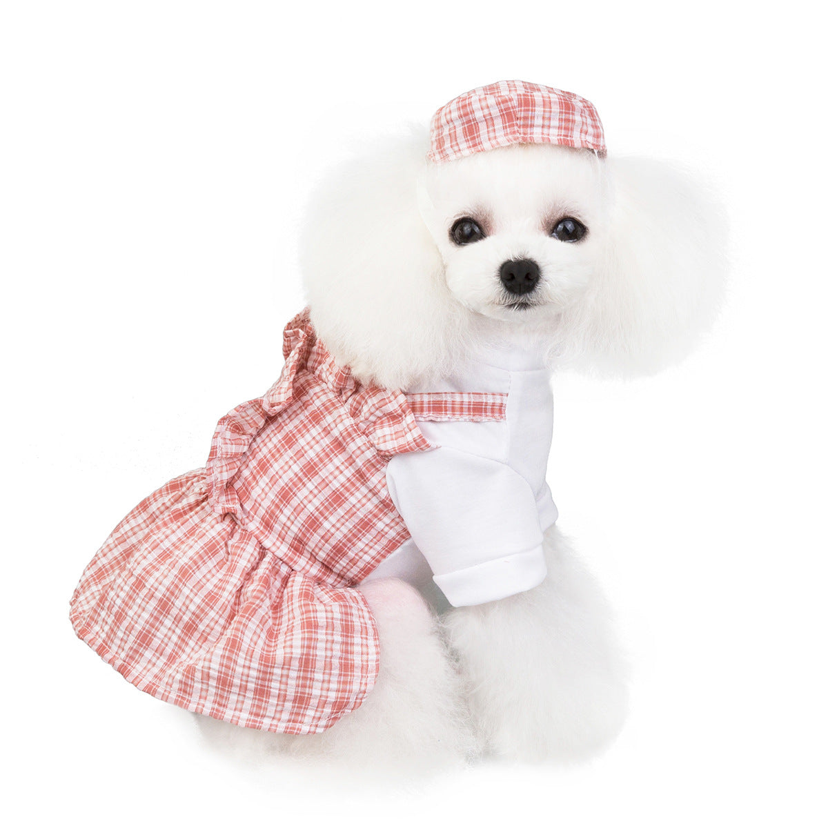 Pet Princess Dress for Small Dogs and Cats