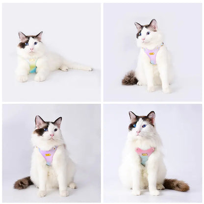 Adjustable Waterproof Leather Pet Harness for Small Dogs