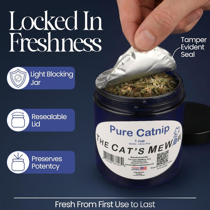 Pure Catnip for Cats North American Grown Fresh Catnip Jar