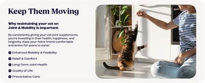 Cat Joint Supplement Chondroitin Mobility Support Natural Formula