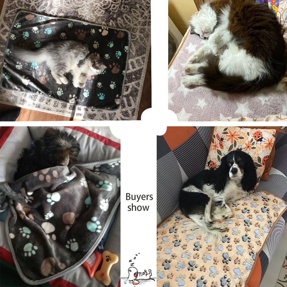 Pet Blanket for All Seasons - Coral Fleece