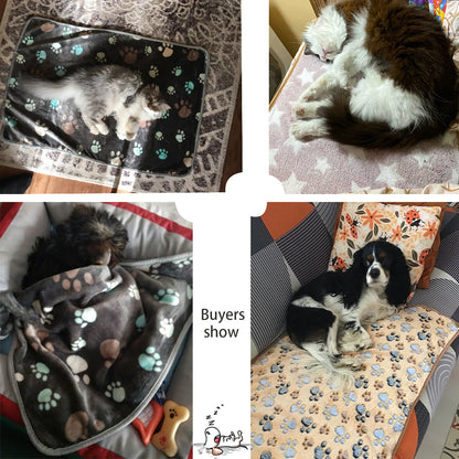 Pet Blanket for All Seasons - Coral Fleece