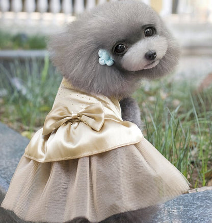 Dog Party Dress