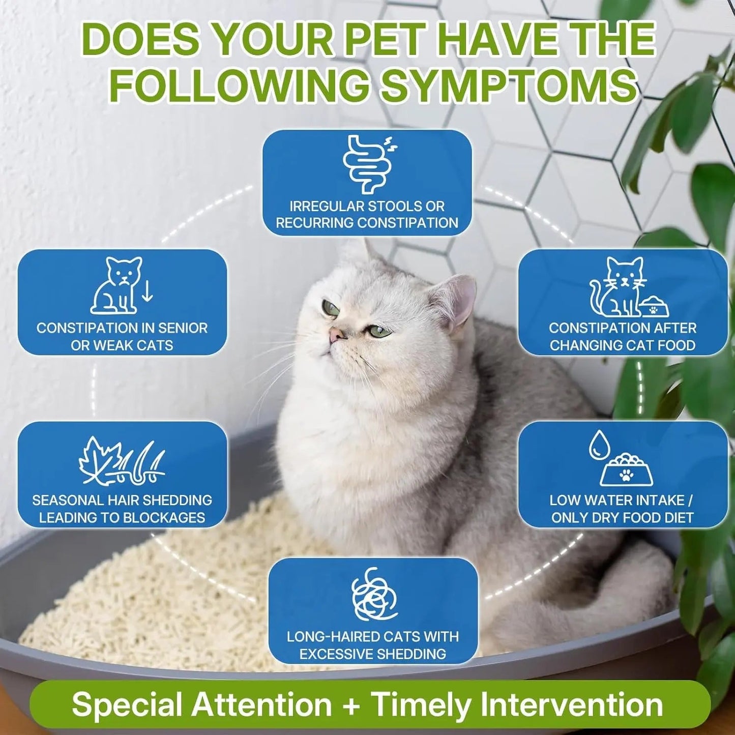 Cat Constipation Relief – Natural Digestive Support Liquid, 60 mL