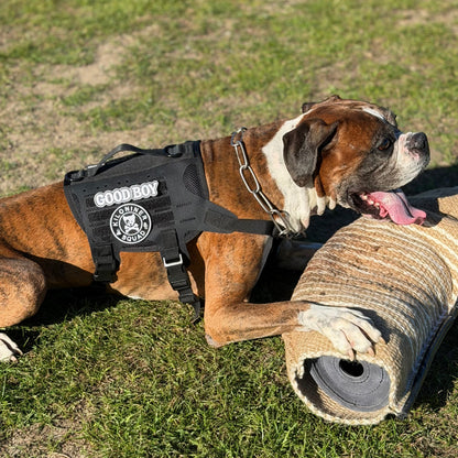 K9R - M4 Tactical MOLLE Vest
