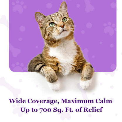 Purrfect Cat Calming Diffuser Kit with 2 Refills