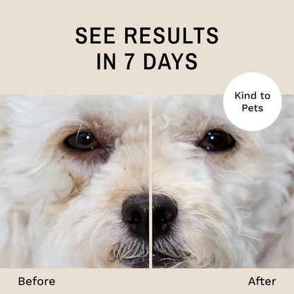 Eye Envy Dog Tear Stain Remover Kit w Brush Pads Powder 30–45 Day