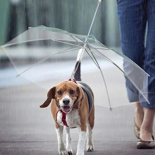Rainstop Umbrella With Dog Leash