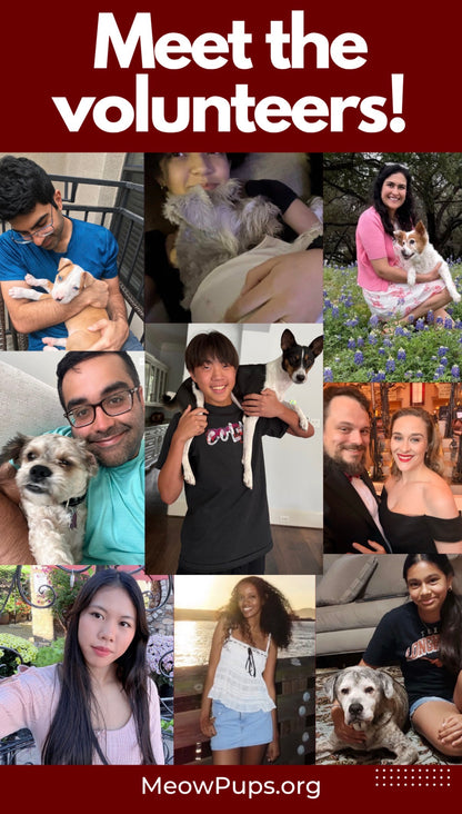 Donations to Meow Pups Org