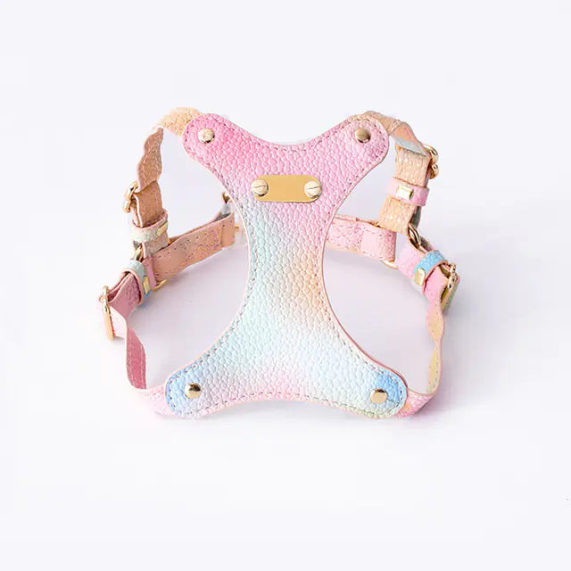 Adjustable Waterproof Leather Pet Harness for Small Dogs