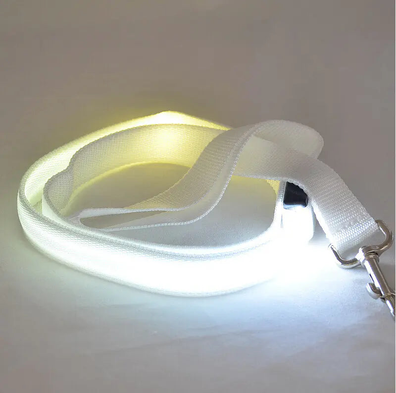 LED Glowing Dog Leash for Nighttime Walks