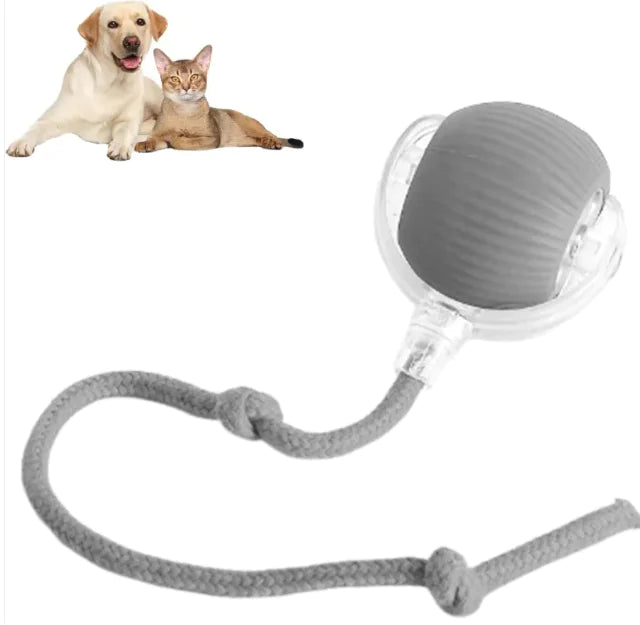 Smart Rolling Cat and Dog Automatic Moving Ball