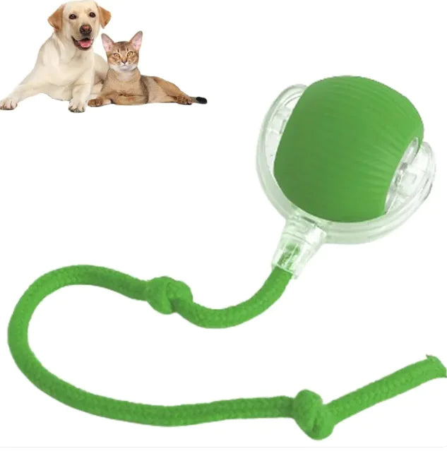 Smart Rolling Cat and Dog Automatic Moving Ball