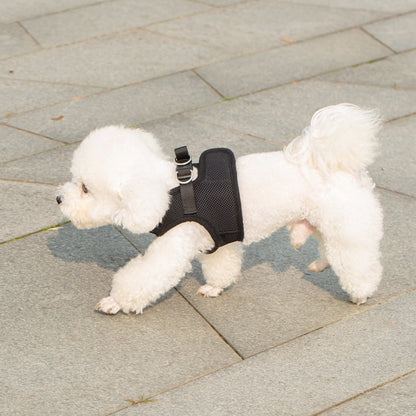Mr. Peanut's PupTrek Soft Mesh Pet Harness with Matching Leash – Adjustable, Breathable, Choke-Free