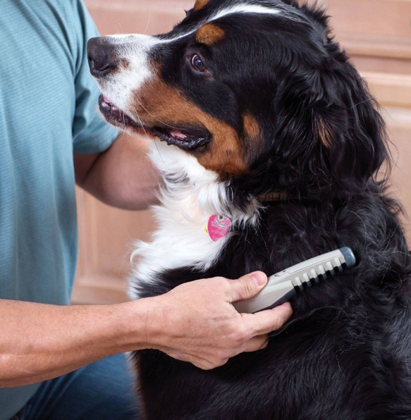 The New Electric Pet Comb
