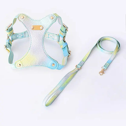 Adjustable Waterproof Leather Pet Harness for Small Dogs