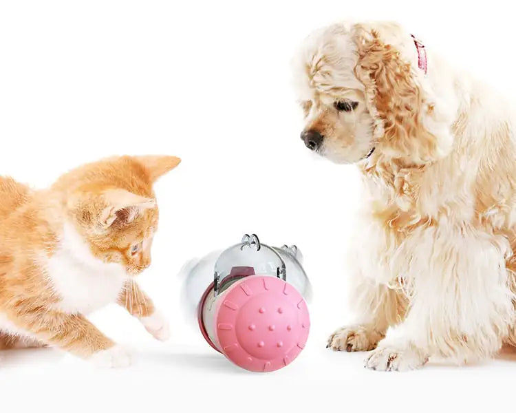Treat Dispenser Tumbler for Dogs and Cats