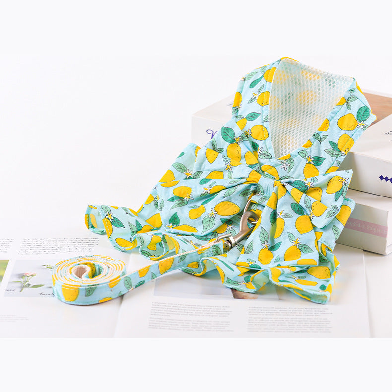 Summer Dog Princess Dress with Leash and Chest Strap
