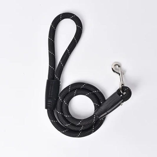 Small Dog Leash with P Chain for Pets