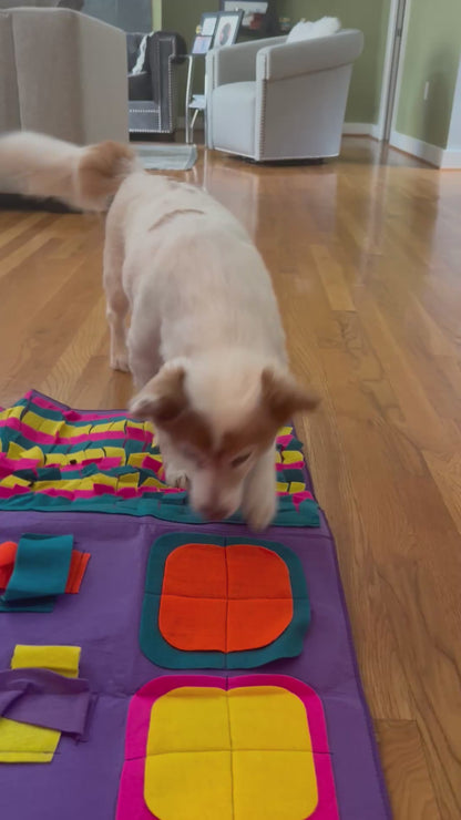 Extra Large Sniffing and Foraging Mat (35.5"x35.5")