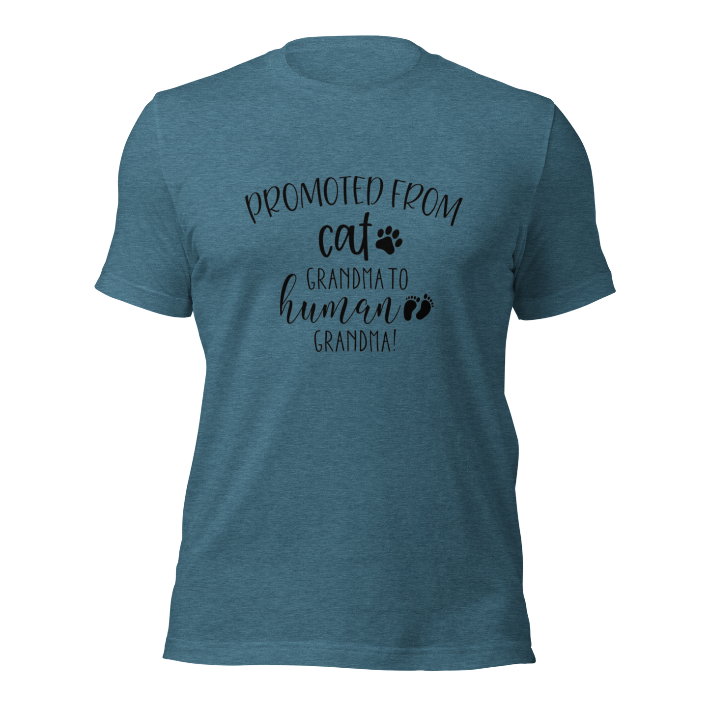 Promoted from Cat Grandma to Human Grandma T-Shirt