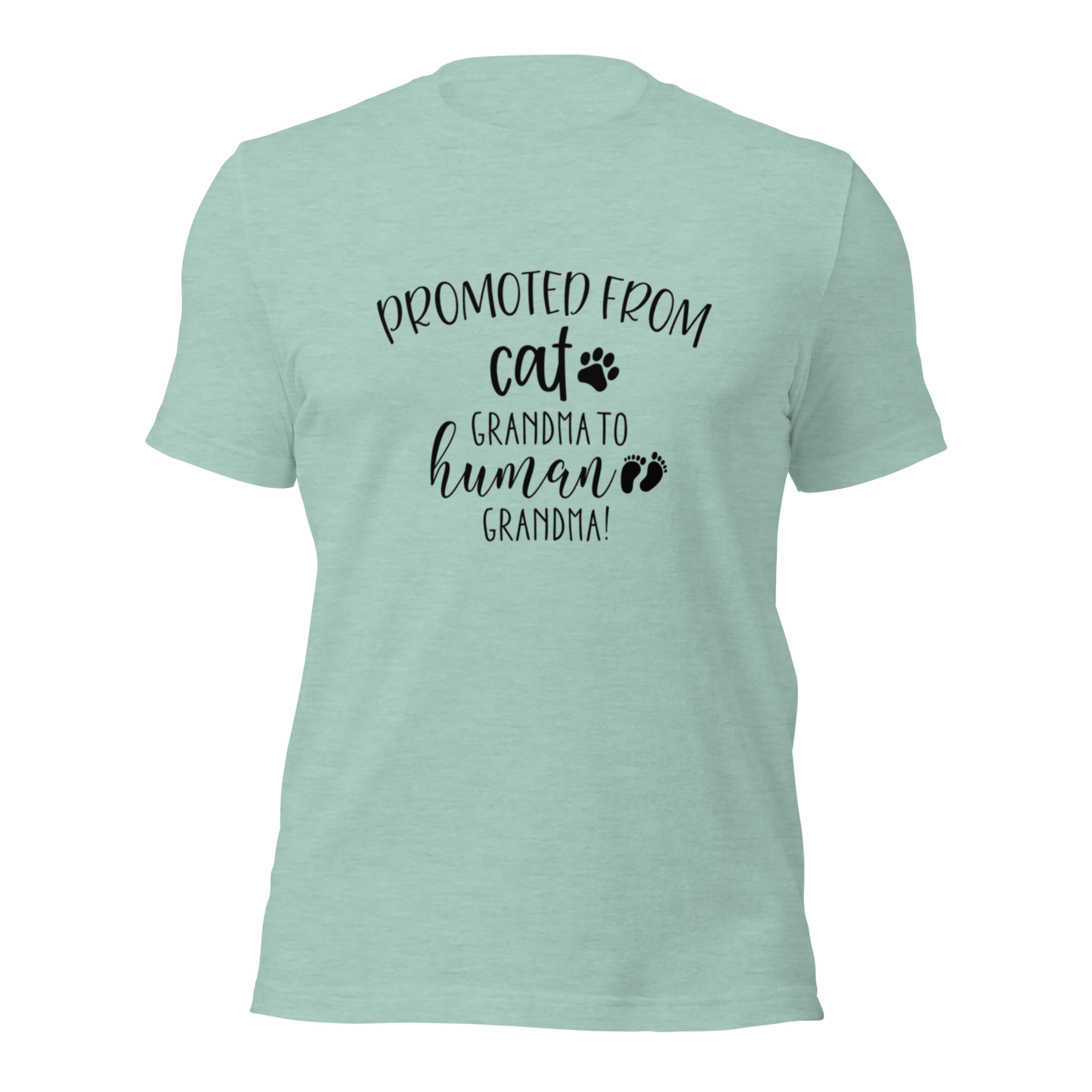 Promoted from Cat Grandma to Human Grandma T-Shirt