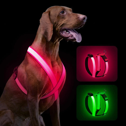 Light Up XL Dog Harness - Rechargeable
